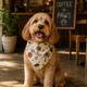 Bandana con un estilo Tropical - Coffee Paw