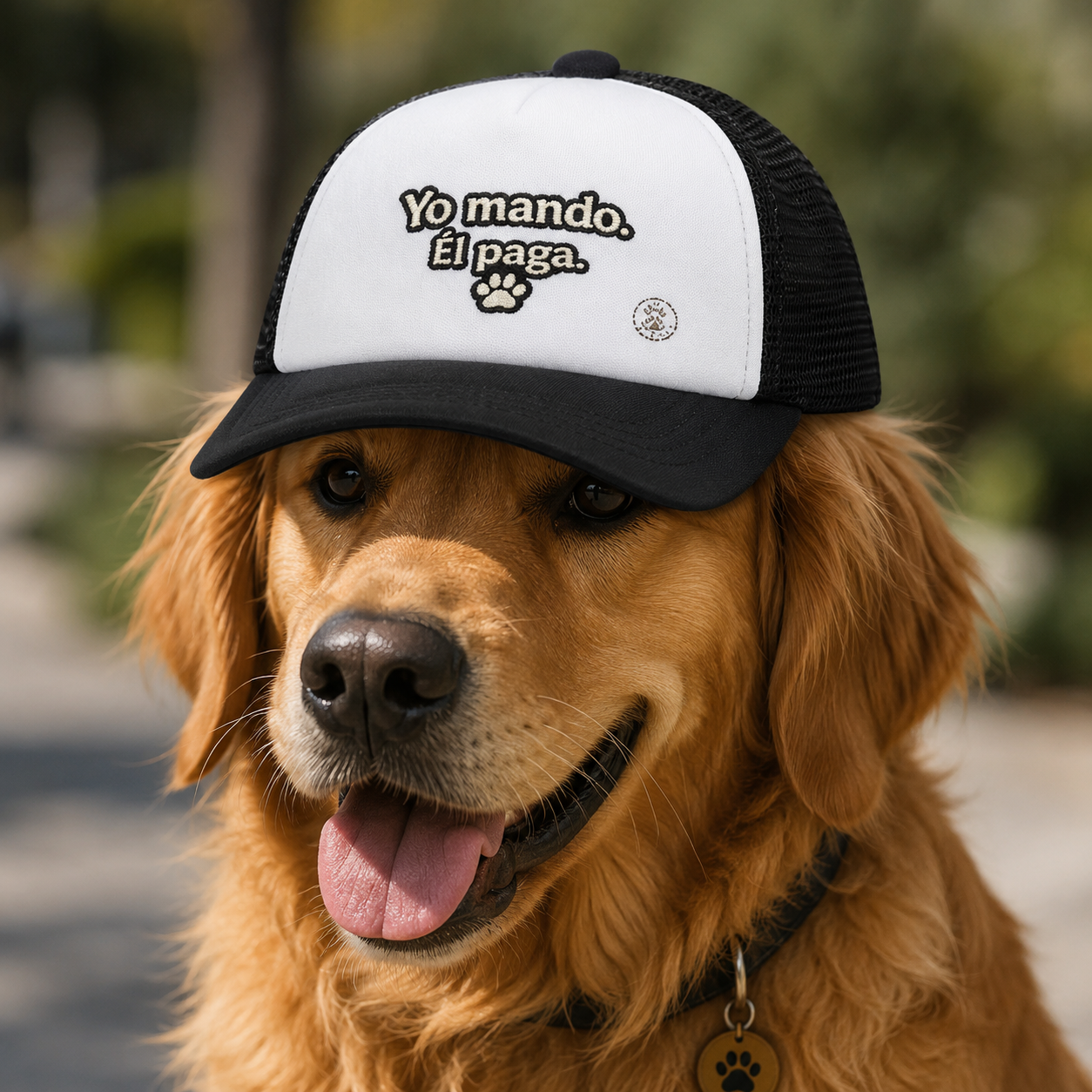 Gorra Trucker para perros “Yo Mando. Él Paga.”