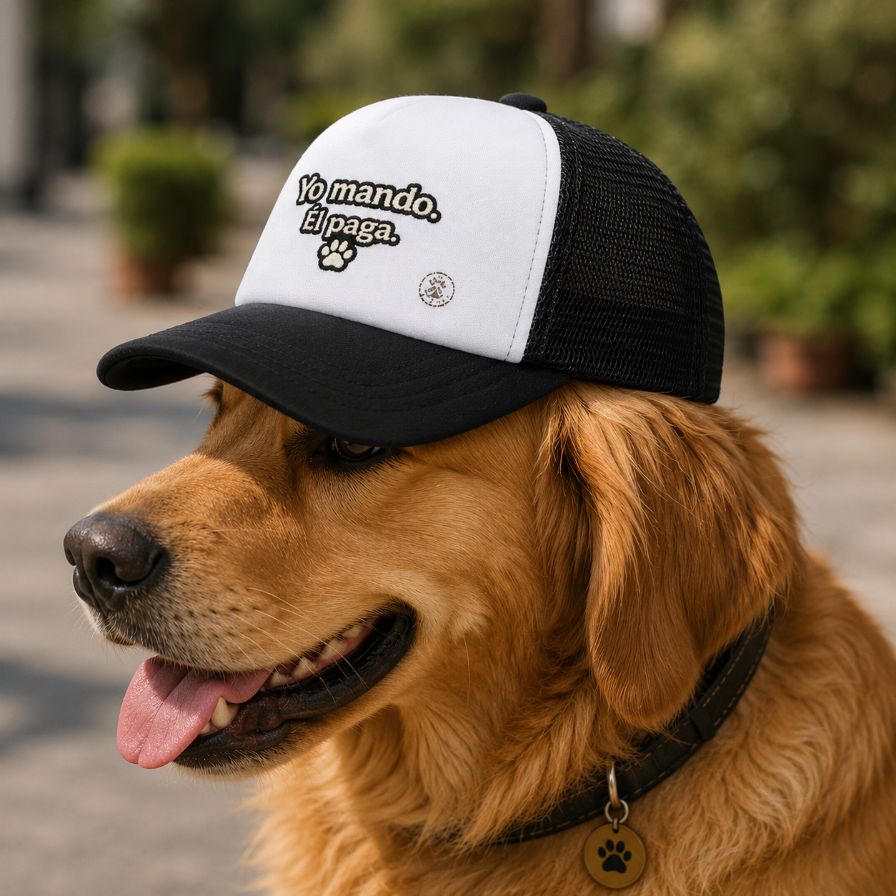 Gorra Trucker para perros “Yo Mando. Él Paga.”