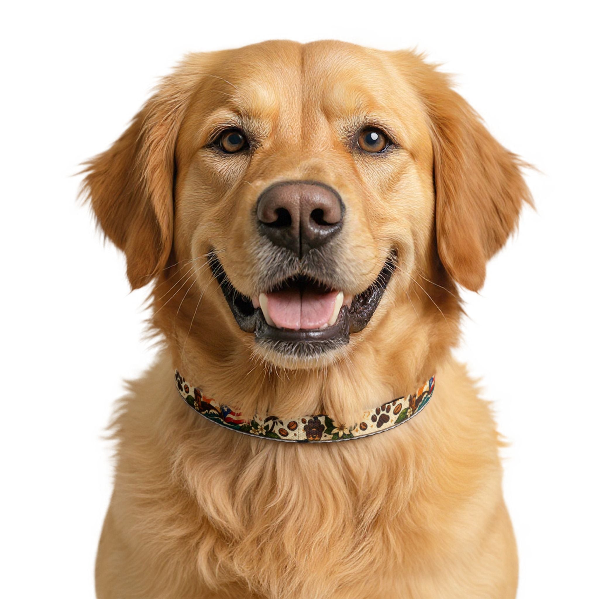 Collar Tropical Boricua Coffee Paw